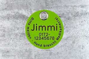 Hundemarke Biothane 30 mm apfelgrün