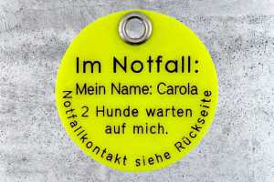 Hundemarke Biothane 40 mm neongelb