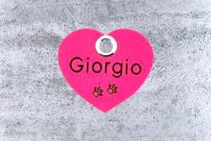 Hundemarke Biothane Herz 30 mm darkpink