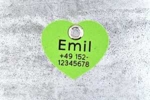 Hundemarke Biothane Herz 30 mm apfelgrün