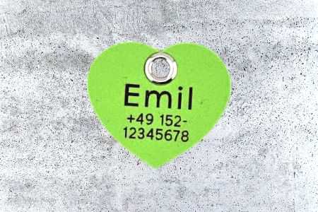 Hundemarke Biothane Herz 30 mm apfelgrün