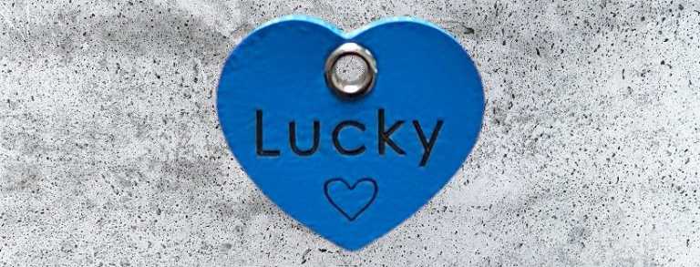 Biothane-Hundemarke Herz, 35 mm, dunkelblau, beidseitig