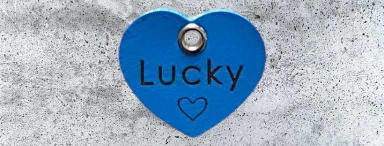 Hundemarke Biothane Herz dunkelblau