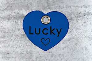 Hundemarke Biothane Herz blau