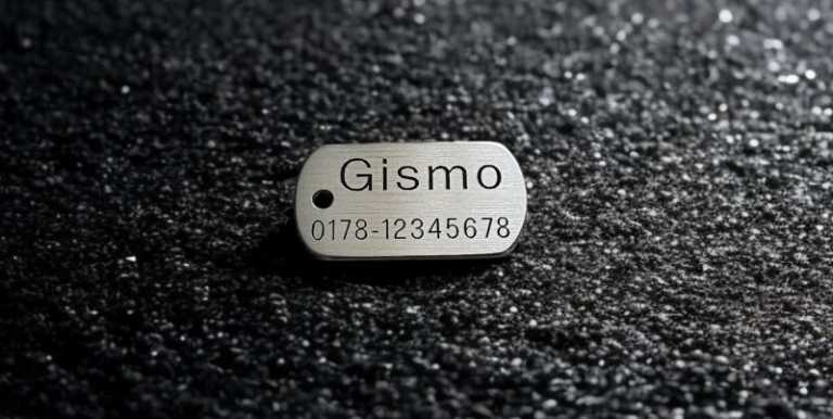 Hundemarke Edelstahl Dogtag, 30 mm, beidseitig