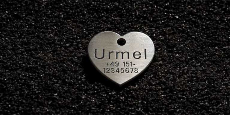 Hundemarke Edelstahl Herz, 30 mm, beidseitig