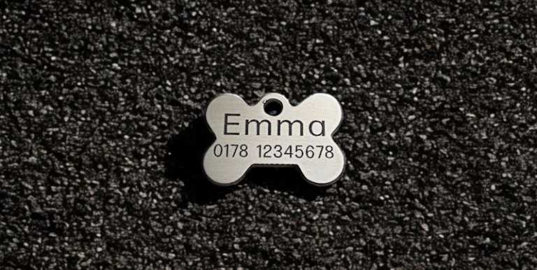 Hundemarke Edelstahl Knochen 28 mm, beidseitig