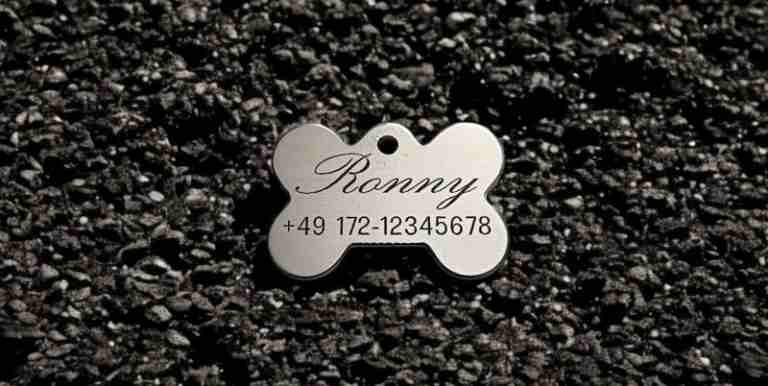 Hundemarke Edelstahl Knochen 33 mm, beidseitig