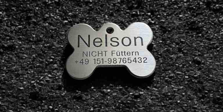 Hundemarke Edelstahl Knochen 44 mm, beidseitig