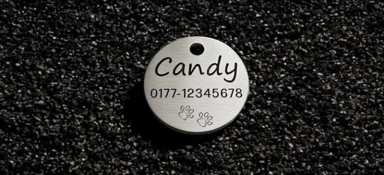 Hundemarke Edelstahl rund, 30 mm, beidseitig