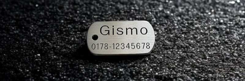 Hundemarke Edelstahl Dogtag 30 mm