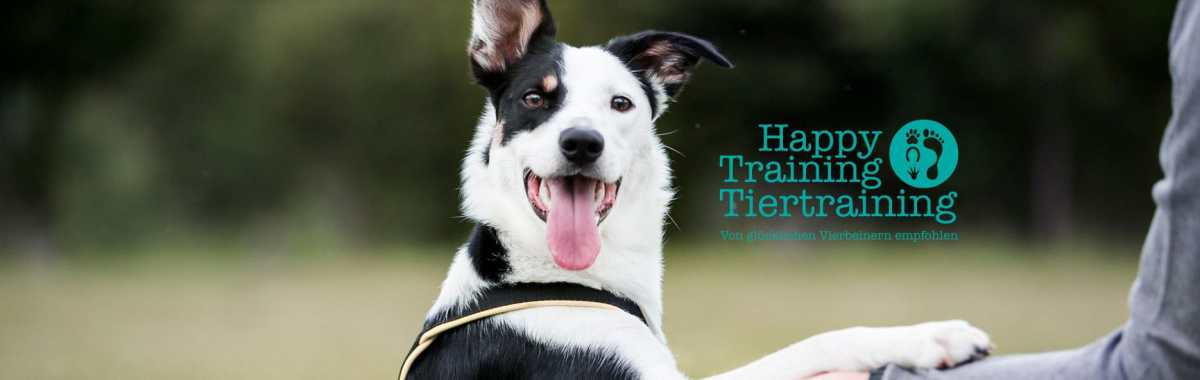 HappytrainingAT2