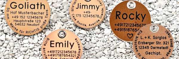 Hundemarken aus Leder hell und dunkel - Übersicht