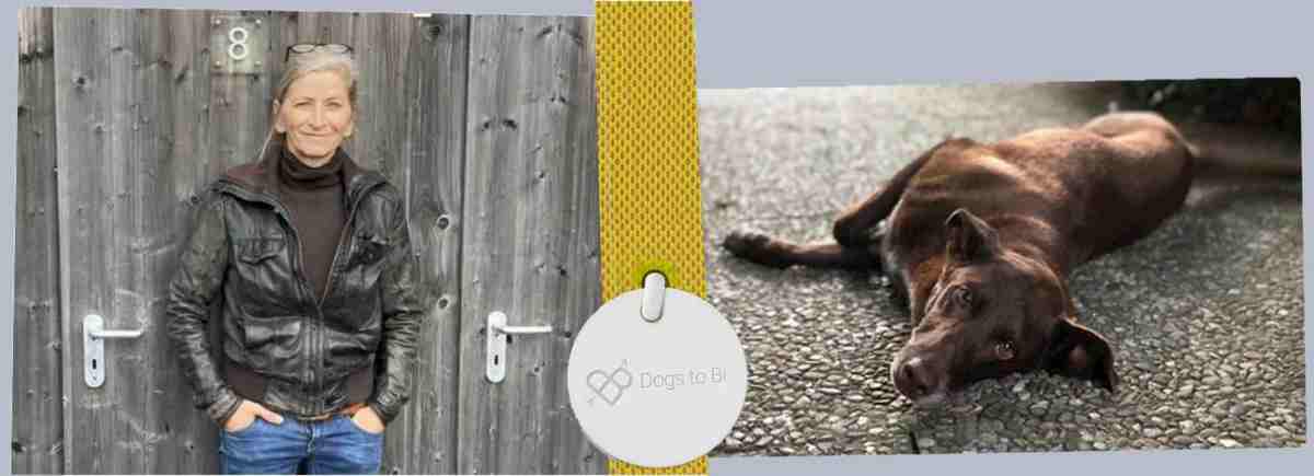 Dogs_to_Be