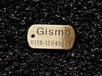 Hundemarke Messing Dogtag 30 mm