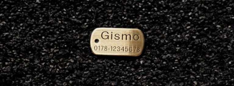 Hundemarke Messing Dogtag, 30 mm, beidseitig