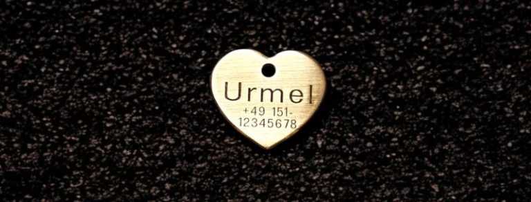 Hundemarke Messing Herz 30 mm ein- oder beidseitig graviertbar