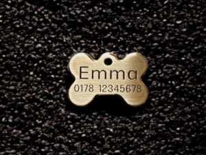 Hundemarke Messing Knochen, 28 mm, beidseitig