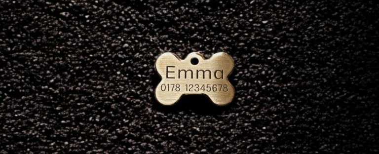 Hundemarke Messing Knochen, 28 mm, beidseitig