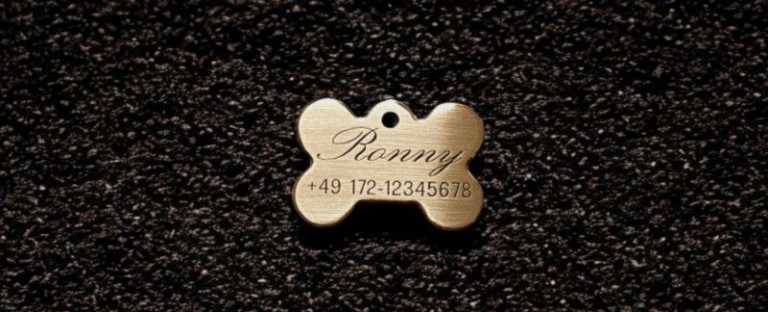 Hundemarke Messing Knochen, 33 mm, beidseitig