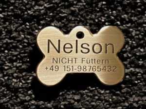 Hundemarke Messing Knochen, 44 mm, beidseitig