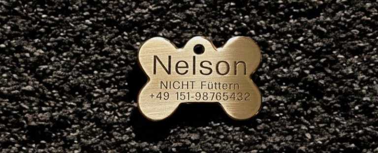 Hundemarke Messing Knochen, 44 mm, beidseitig