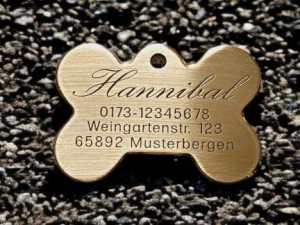 Hundemarke Messing Knochen, 50 mm, beidseitig