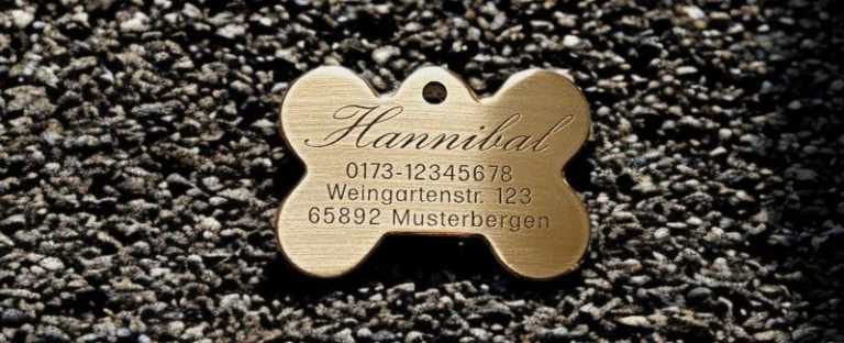 Hundemarke Messing Knochen, 50 mm, beidseitig