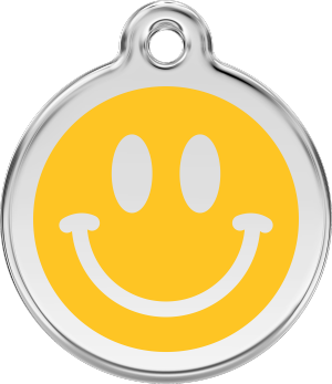 Smiley-01-SM-YE
